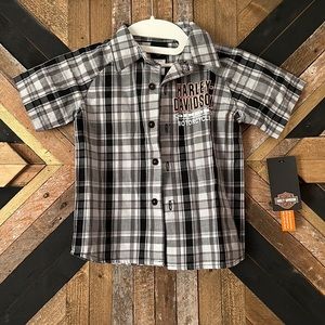 Harley Davidson bottom up 2T